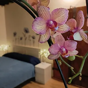 https://il-giardino-segreto-lucca.it-tuscanyhotel.com